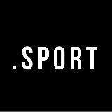 GnesinSport