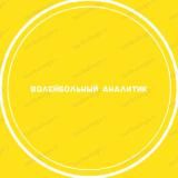 Волейбольный Аналитик