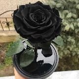 Black~Bakkara🌹🌹🌹