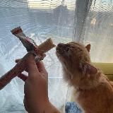 А обсудить?