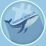 WalletsScanner 🐋
