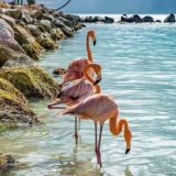 🖤Картинки для сторис 🖤