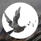 Христианская музыка™