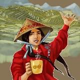 Нячанг онлайн 🇻🇳 Вьетнам