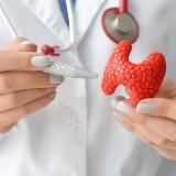 Эндокринолог • Блог Врача