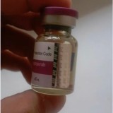 Живые отзывы