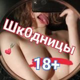 Шк0дницы🔥