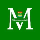 Мичуринский МО Тамбовской области