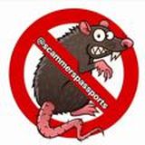 ПАСПОРТА КРЫС И КИДАЛ