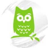 Сеть коттеджей SOVA