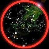 𝐊𝐨 𝐇𝐞𝐞-𝐘𝐨𝐮𝐧𝐠