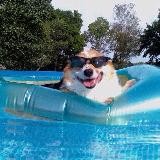 Пытаюсь арбитражить