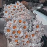 Советы, Эстетика, Фильмы