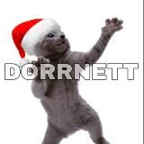 DorrNett