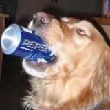 Пепсиновна