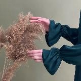 𝕂𝕠̃𝕟𝕘𝕚𝕝...🦩