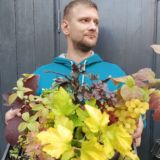 Хосты. Клематисы. Гейхеры. Астильбы. Гортензии.