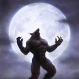 Werewolf Anarchy🔥