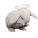 ˗ˏˋ myramato ´ˎ˗