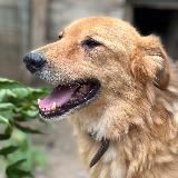 ПРИЮТ В ВОСТОЧНОМ (ВАО)