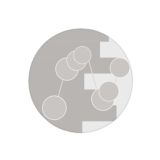 ScReNNy Trade Public