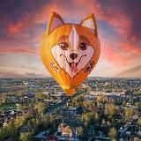 Аэровальс. Фестивали, полёты, обучение, реклама