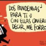 Músicayhumordisidente