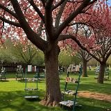 Литературный сад •• •