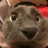 Gift storage | Хранение подарков