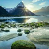 🌍INTERNATIONAL🌍