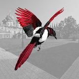 Тихвинская сорока ️