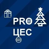 PRO ЦЕС | Северсталь — Центр Единого Сервиса