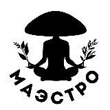 МГТ 🍄🌱 Vitalers | Aliness ( мухомор, ежовик, ашваганда)