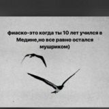 "УЧЁНЫЕ" ШИРКА И КУФРА