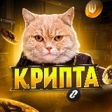 КРИПТА КОТА