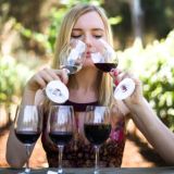 Вино Чили🇨🇱🍷