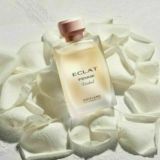 Biznes ledy ORIFLAME