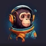SPACE MONKEY
