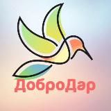 Волонтёрская организация «ДоброДар» Владивосток