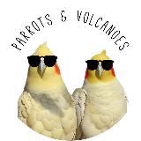 Parrots and Volcanoes Store