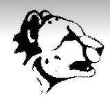 Высотно-монтажная организация ООО "Ирбис"