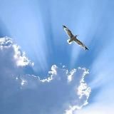 🌏 ПРОСТРАНСТВО по ДУШЕ