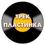 Обучение «Трек-пластинка»