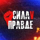 Наши инвестиции! 📈