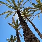 АРЕНДА 🇪🇸 БЕНИДОРМ, САН ХУАН, ВАЛЕНСИЯ🏝️