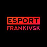 Франківськ кіберспортивний🕹