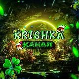 BS | Турниры Qwedi