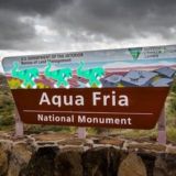 Aquaposting 🏳🌈🏳⚧