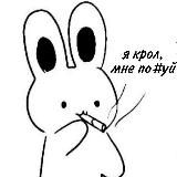 ·˚.норка рпп кроли♡