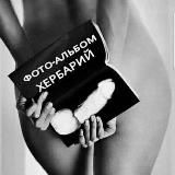 🔞Галерея Мальчишника